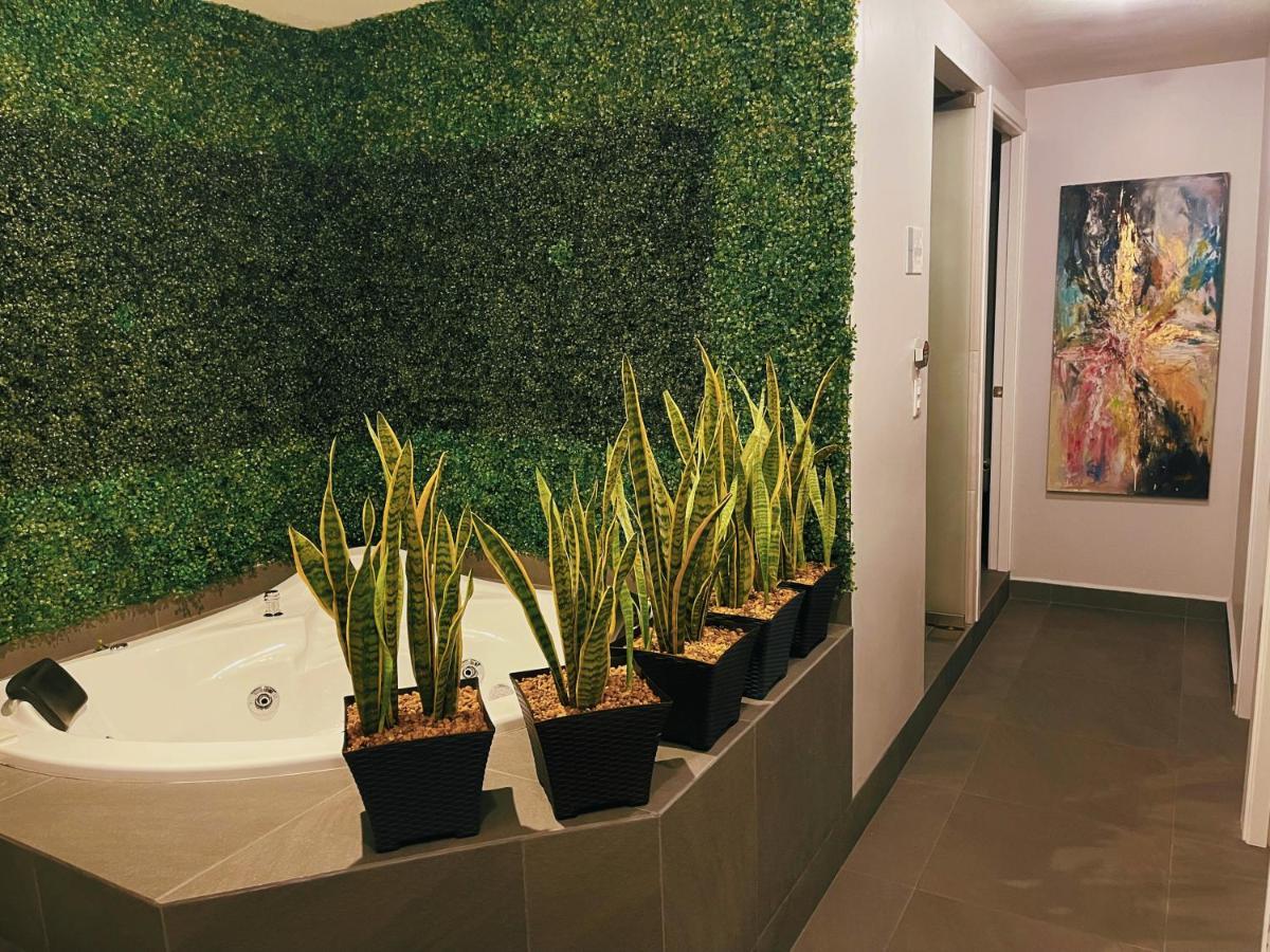Suites Layfer, Cordoba, Veracruz, Mexico Zewnętrze zdjęcie